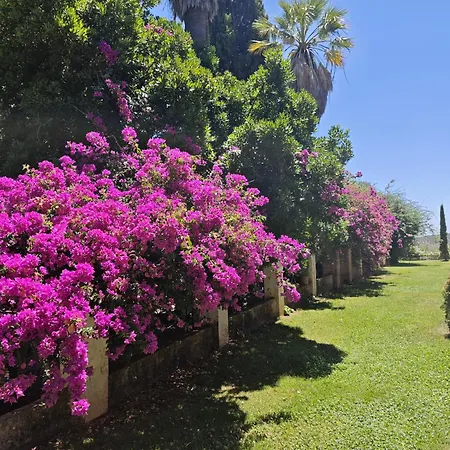 La Favorita- (adults Only) Country house Constantina
