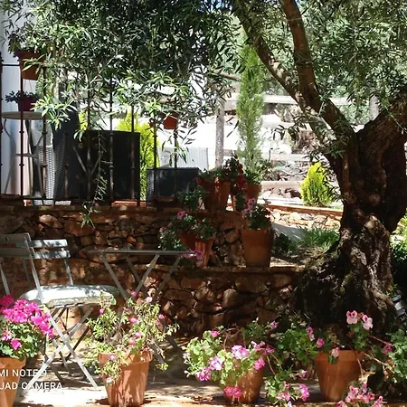 La Favorita- (adults Only) * Constantina