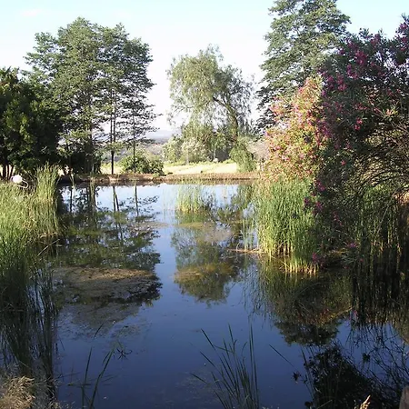 Country house La Favorita- (adults Only) Constantina