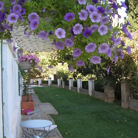 Country house La Favorita- (adults Only)