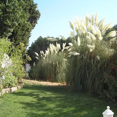 Country house La Favorita- (adults Only) Constantina