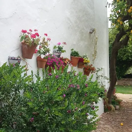 La Favorita- (adults Only) Country house Constantina